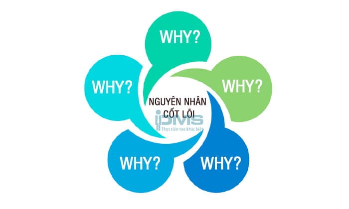5 whys la gi