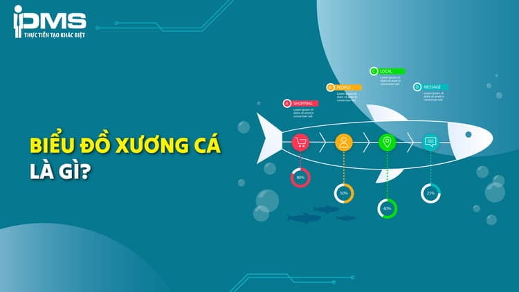 biểu đồ xương cá là gì