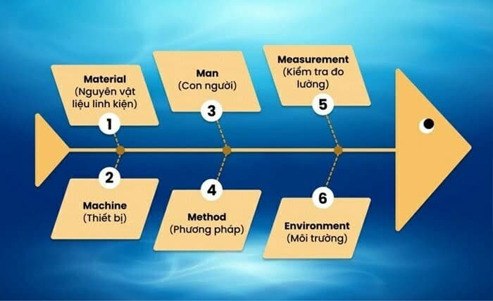 biểu đồ xương cá