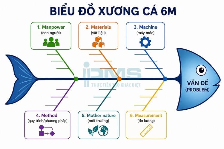 Sơ đồ xương cá 6M
