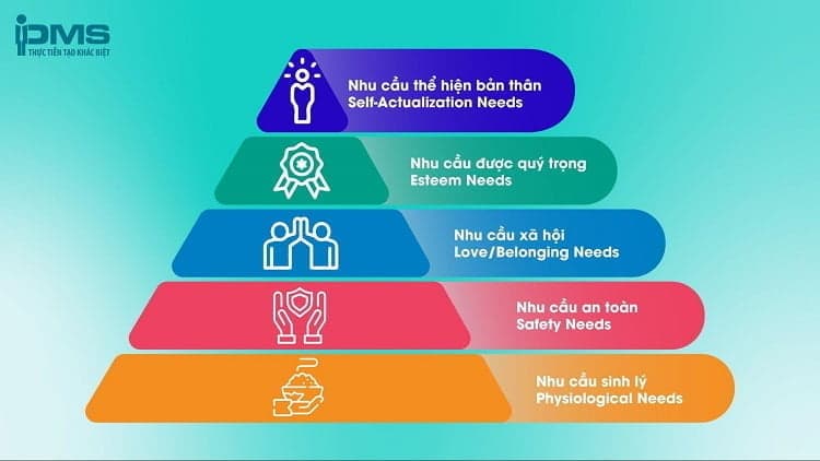 5 cấp độ của tháp nhu cầu của maslow