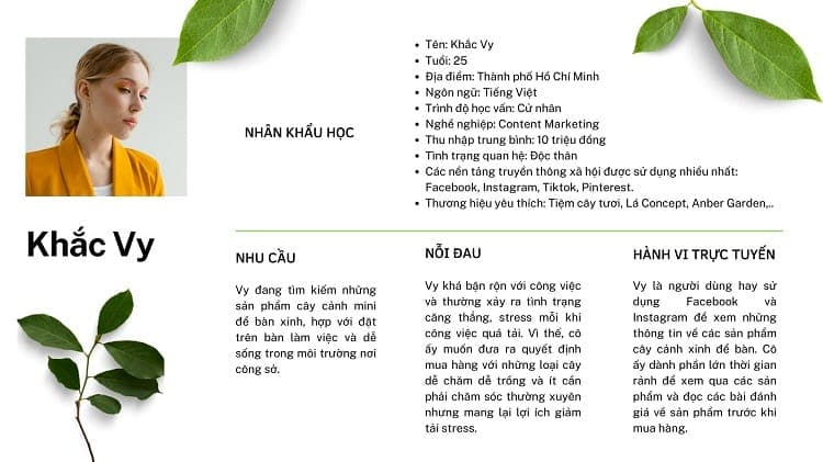 Ví dụ mẫu chân dung khách hàng