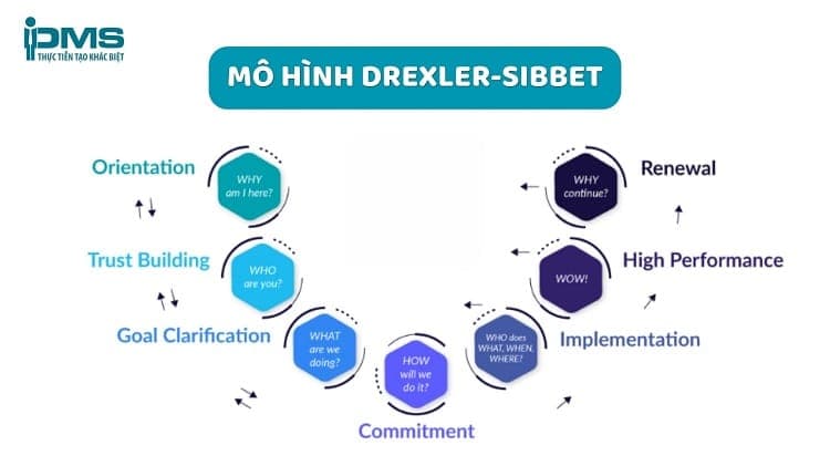 Mô hình Drexler-Sibbet