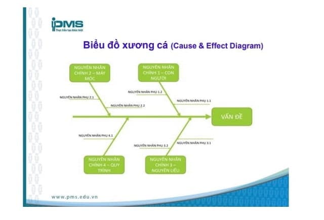 Biểu đồ xương cá còn gọi là biểu đồ nhân quả