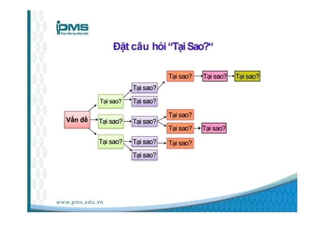 kết hợp biểu đồ xương cá với phương pháp 5 Whys