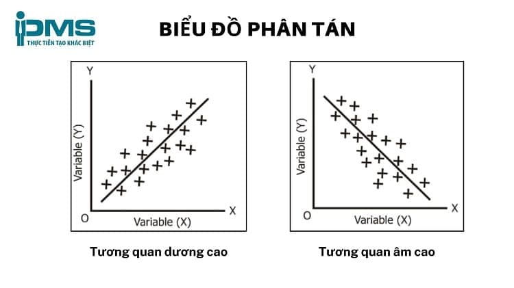 biểu đồ phân tán có sự tương quan dương âm cao