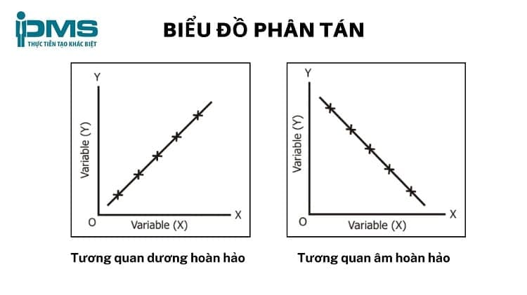 Biểu đồ tán xạ có sự tương quan dương âm hoàn hảo