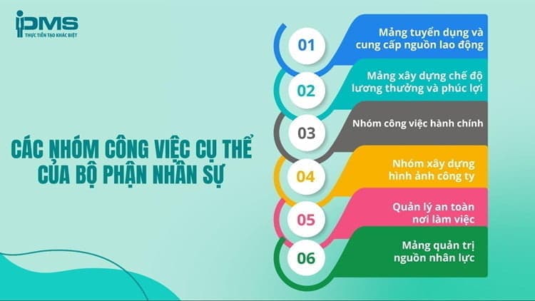 các nhóm công việc của nhân sự