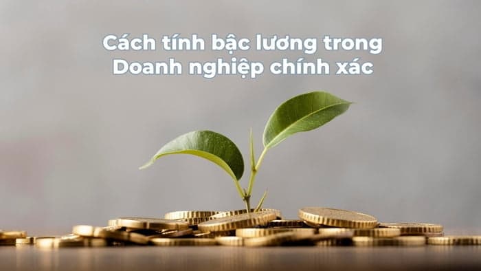 Cách tính bậc lương trong Doanh nghiệp