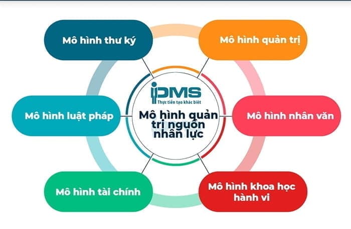 6 mô hình quản trị nguồn nhân lực