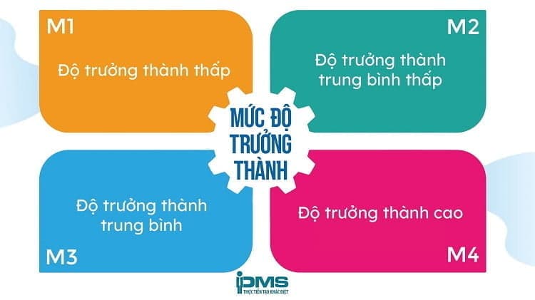 4 mức độ trung bình của mô hình lãnh đạo theo tình huống