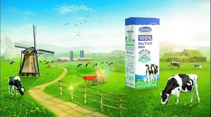 Ví dụ về chi phí chất lượng của vinamilk